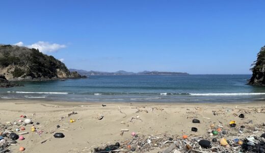 近年で変化した宮城の海。釣れるようになった魚