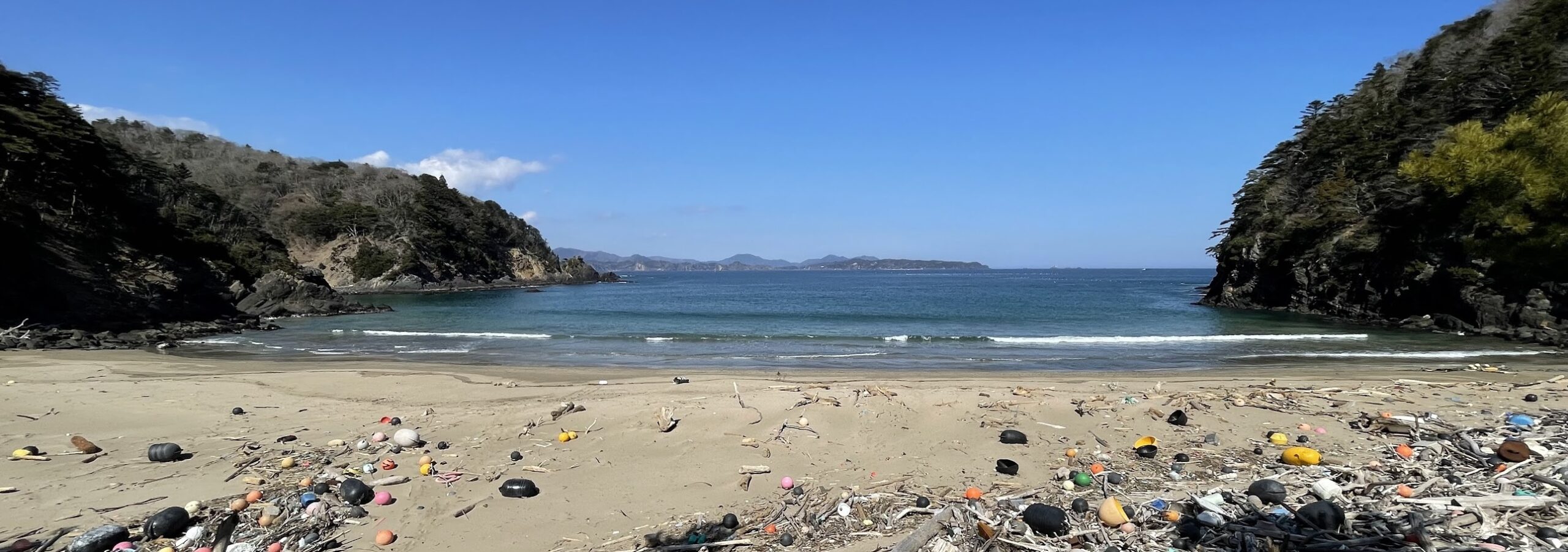 【超希少】宮城の海釣り 近年で変化した宮城の海。釣れるようになった魚 | NORIの釣り遠征スタイル