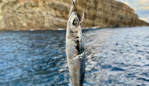 激流にサバを落とすだけで大物がかかる釣りが面白い